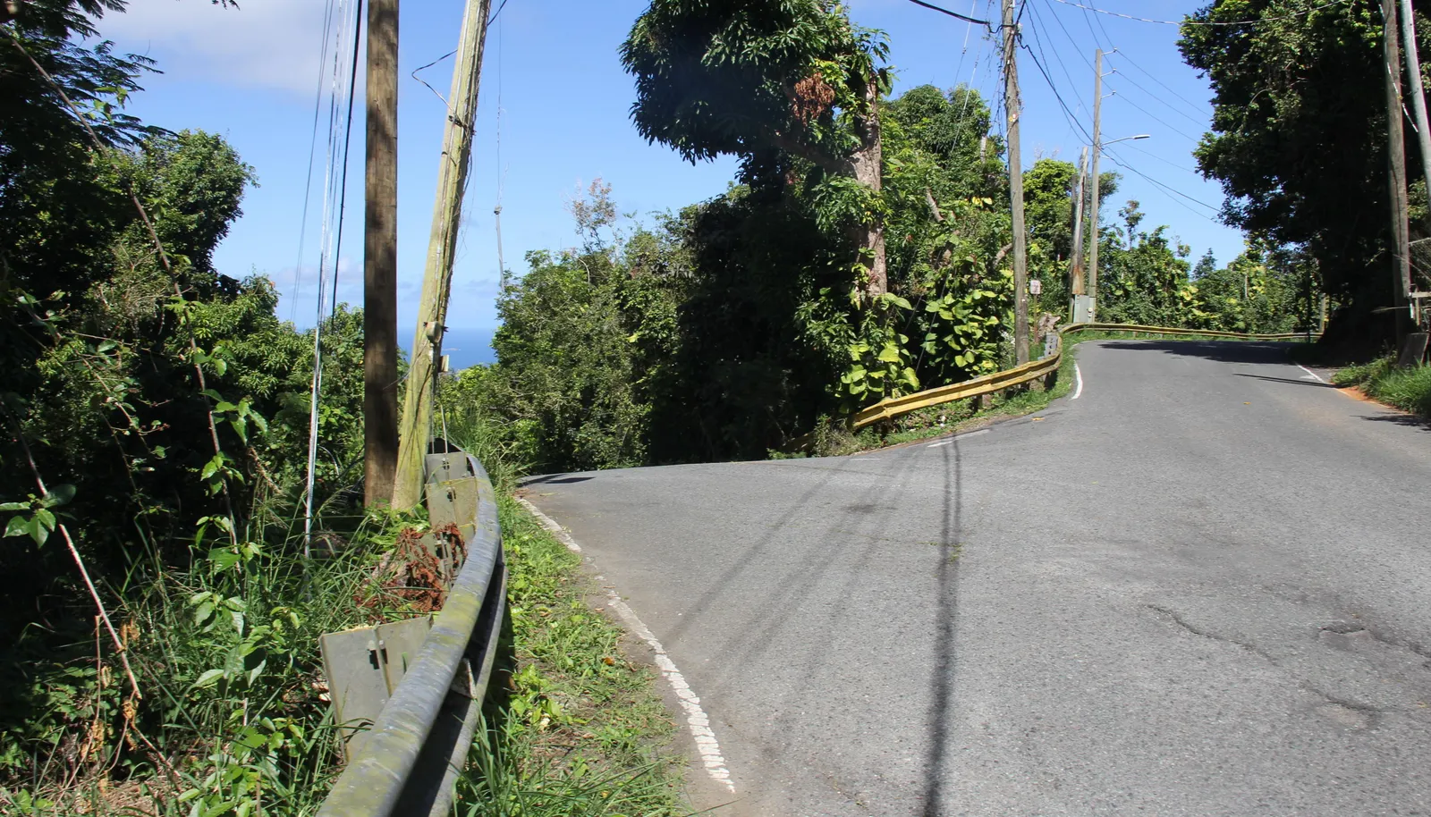 Image 15