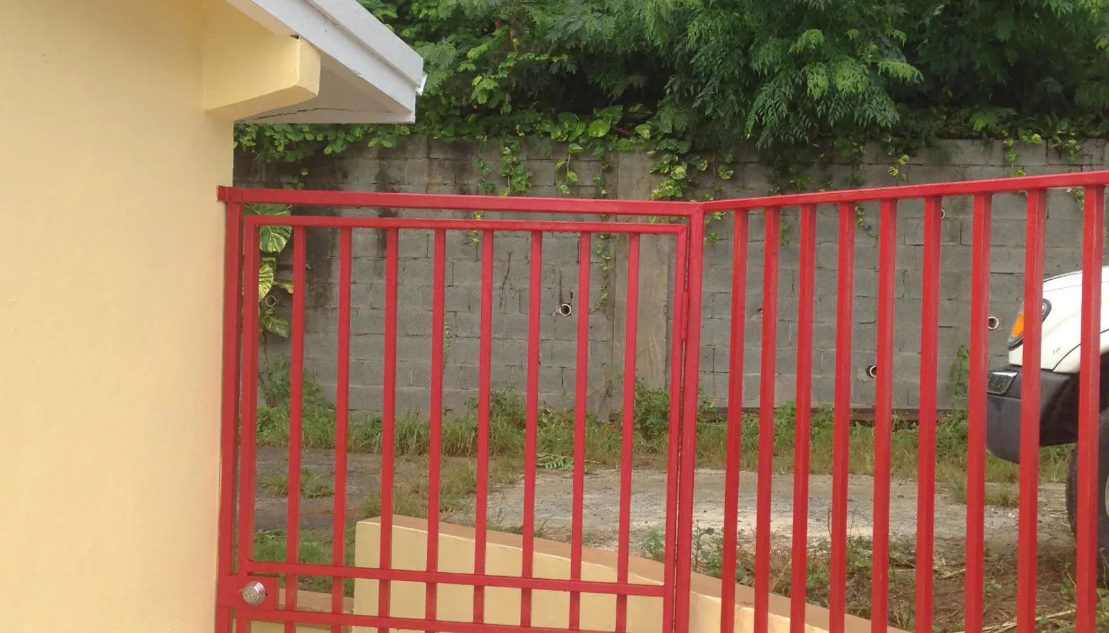 Image 13