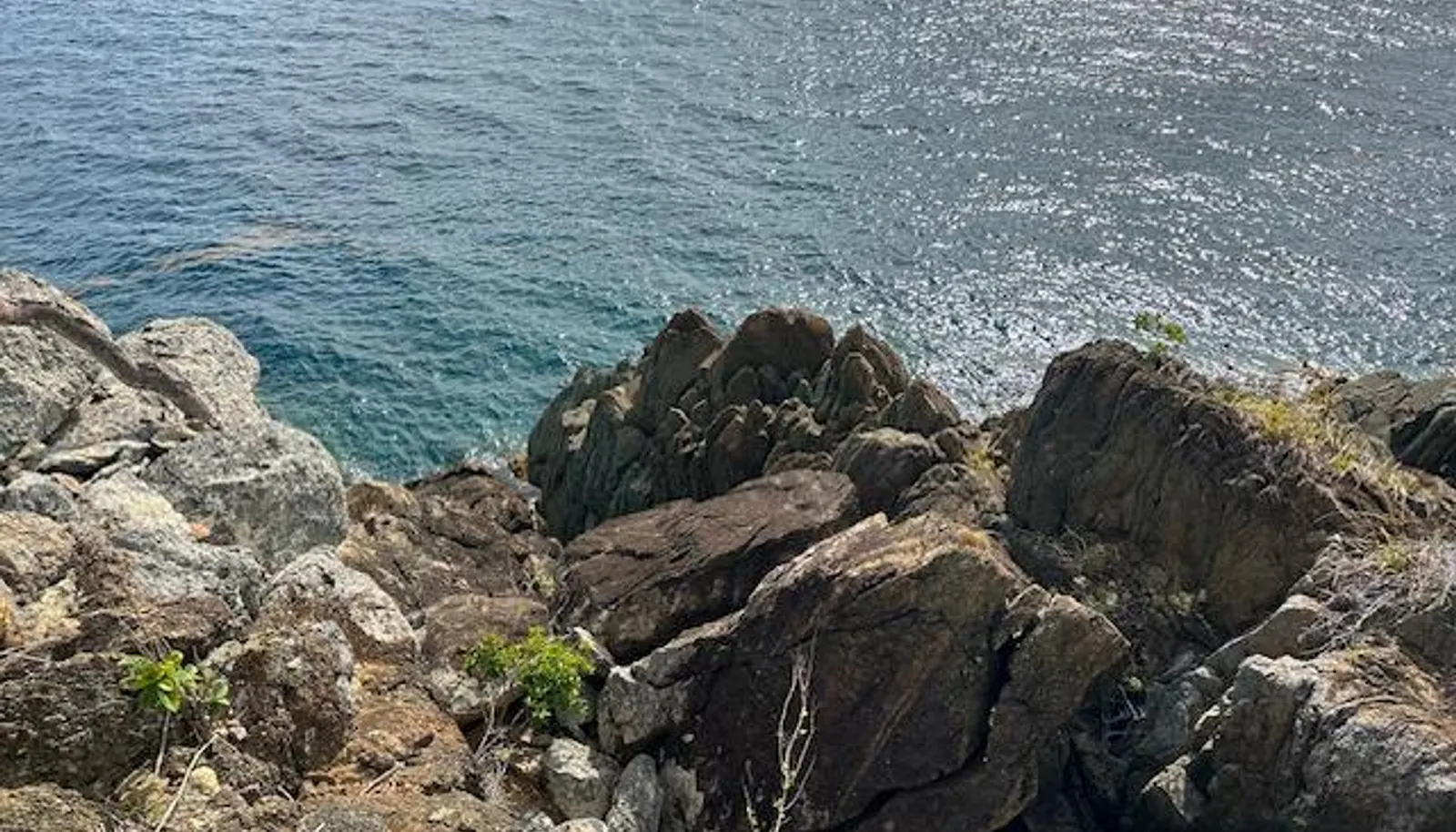 Image 20