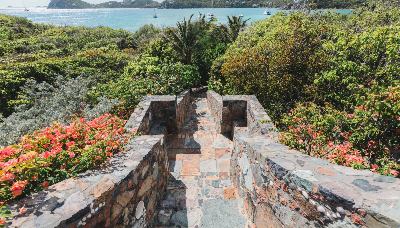 Image 7