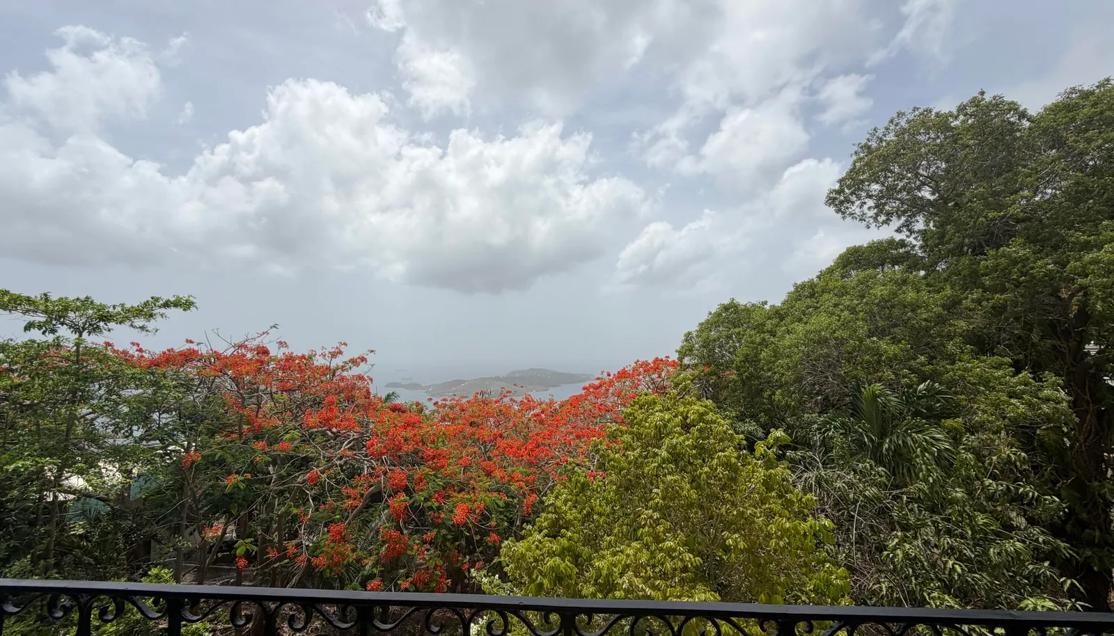 Image 10