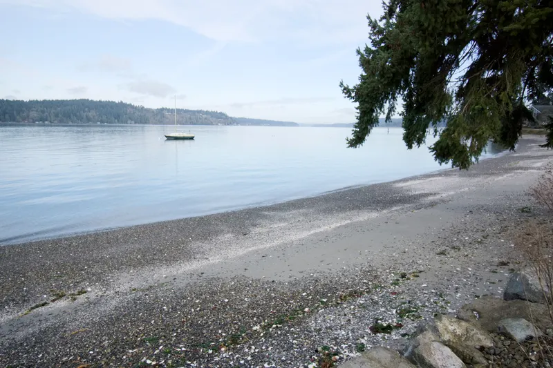 Your beach looking north, toward Illahee and Bainbridge Island.