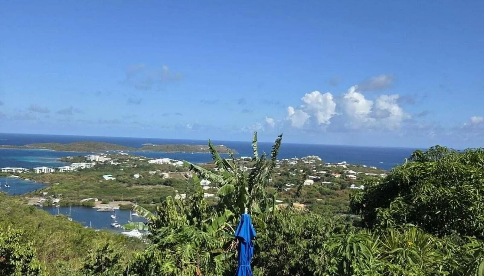Image 13