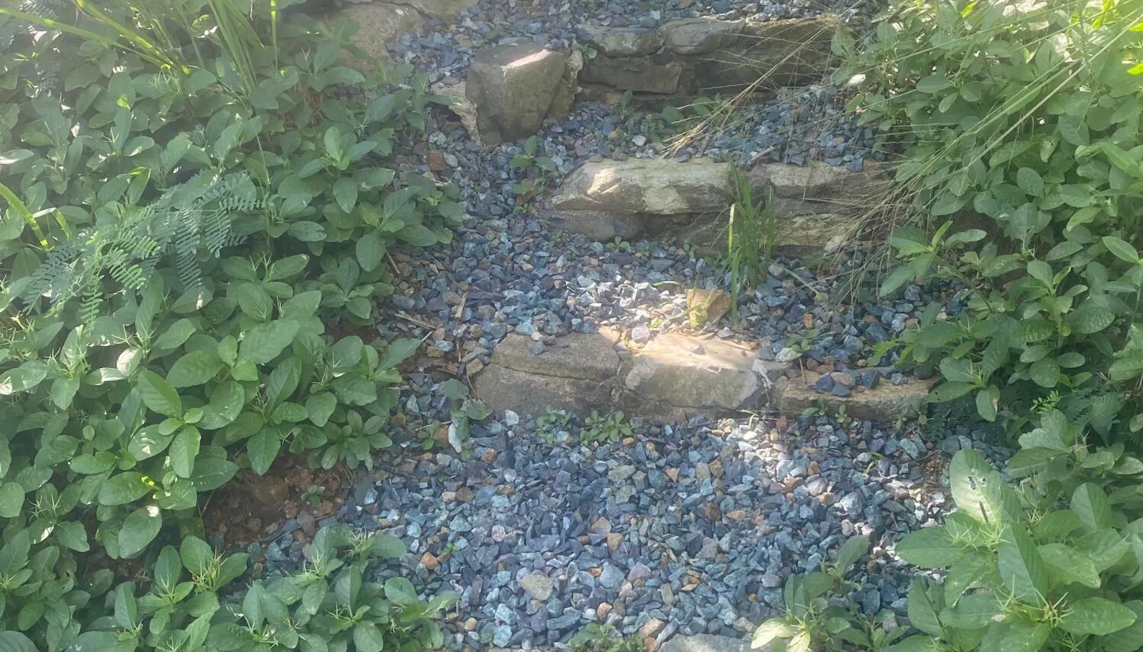 Image 18
