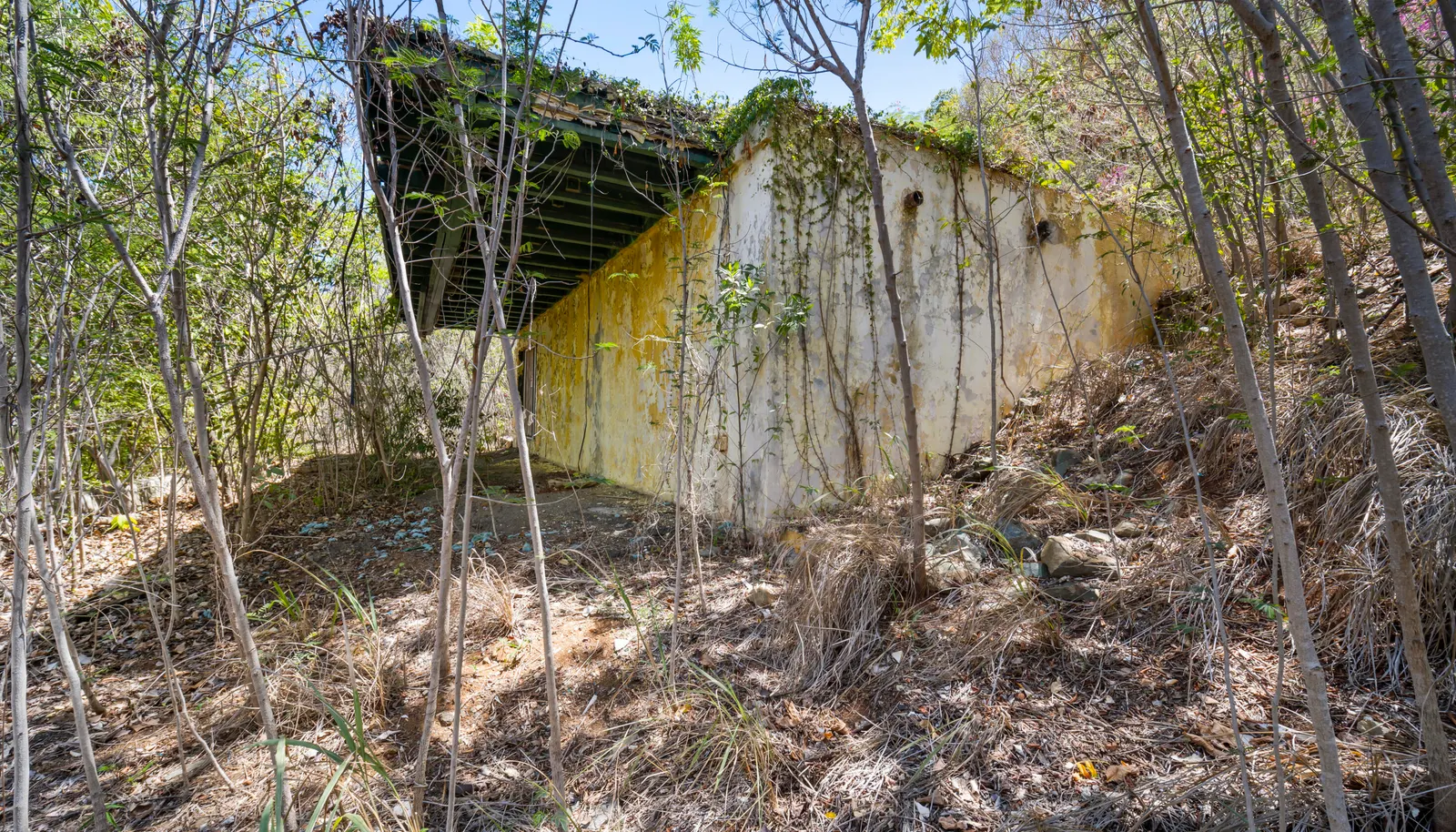 Image 15