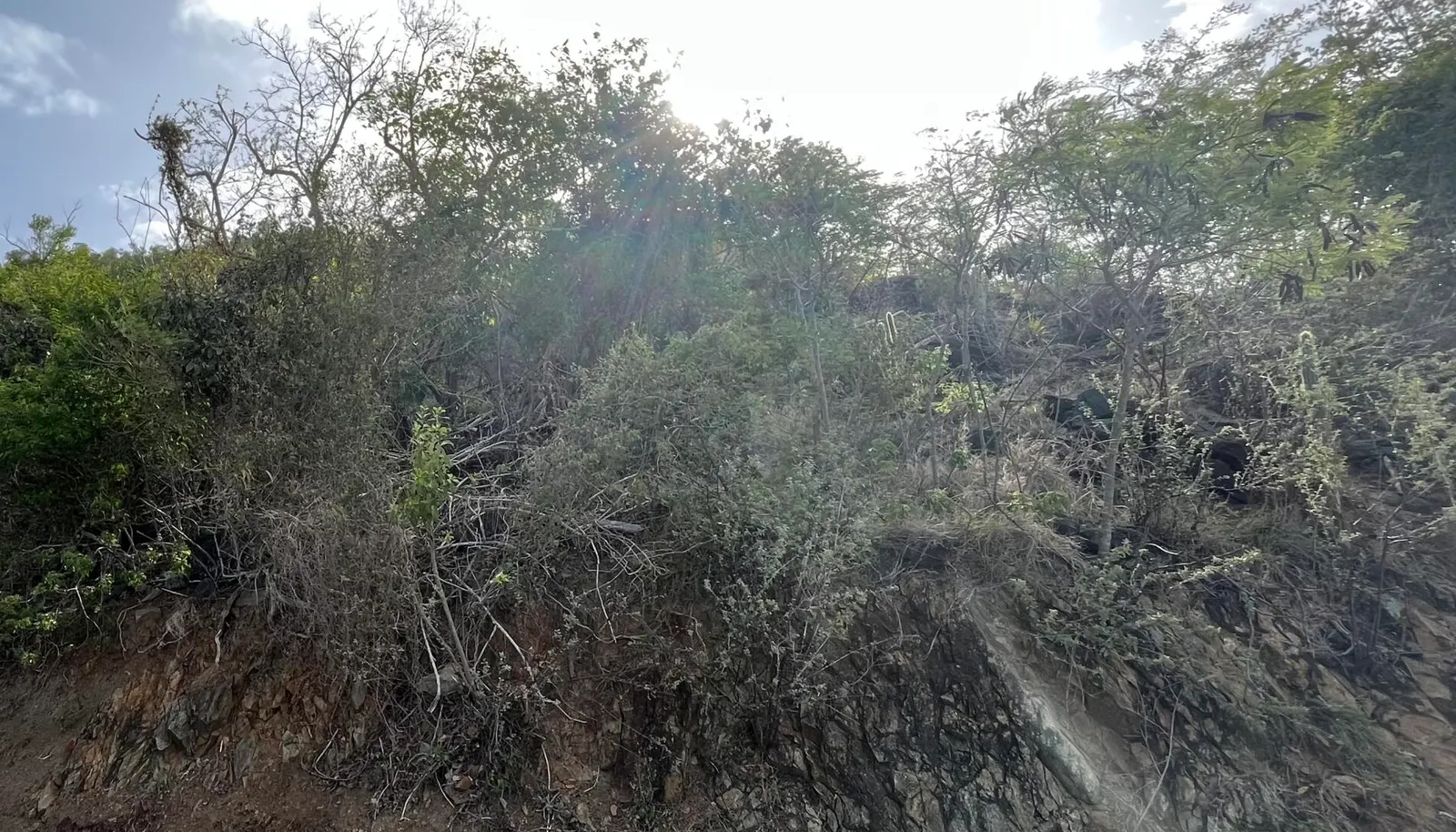 Image 9