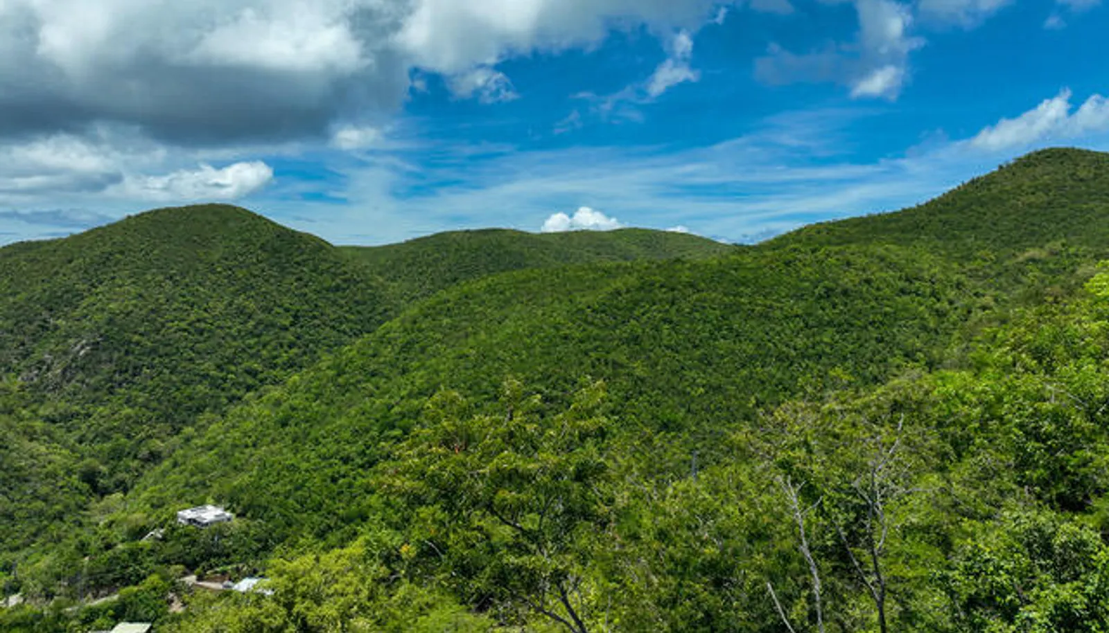 Image 10